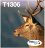 Epson inktcartridge T1306, 600 1.005 pagina&apos, s, OEM C13T13064012, 3 kleuren online kopen