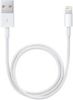Apple Lightning naar USB kabel(0, 50 m)ME291ZM/A online kopen